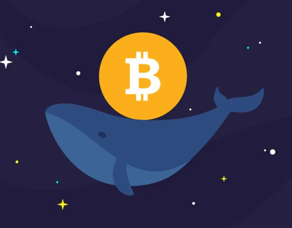 Un Bitcoin Whale ha spostato milioni dopo 12 anni di inattività
