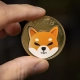 Buone notizie per gli investitori di Shiba Inu: Shibarium sta bruciando miliardi di SHIB Buone notizie per gli investitori di Shiba Inu: Shibarium sta bruciando miliardi di SHIB