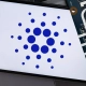 Il futuro di Cardano: Cosa succederà a febbraio? Il futuro di Cardano: Cosa succederà a febbraio?