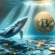 Le balene di Bitcoin sono più attive che mai! Le balene di Bitcoin sono più attive che mai!